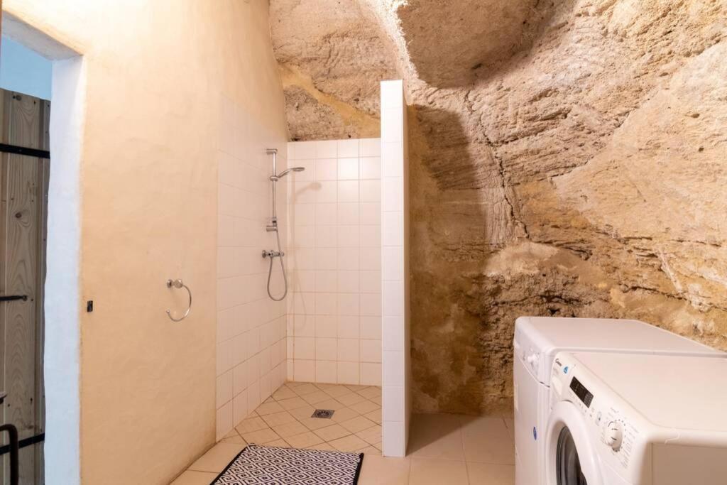 Maison Troglodytique Doue La Fontaine 외부 사진